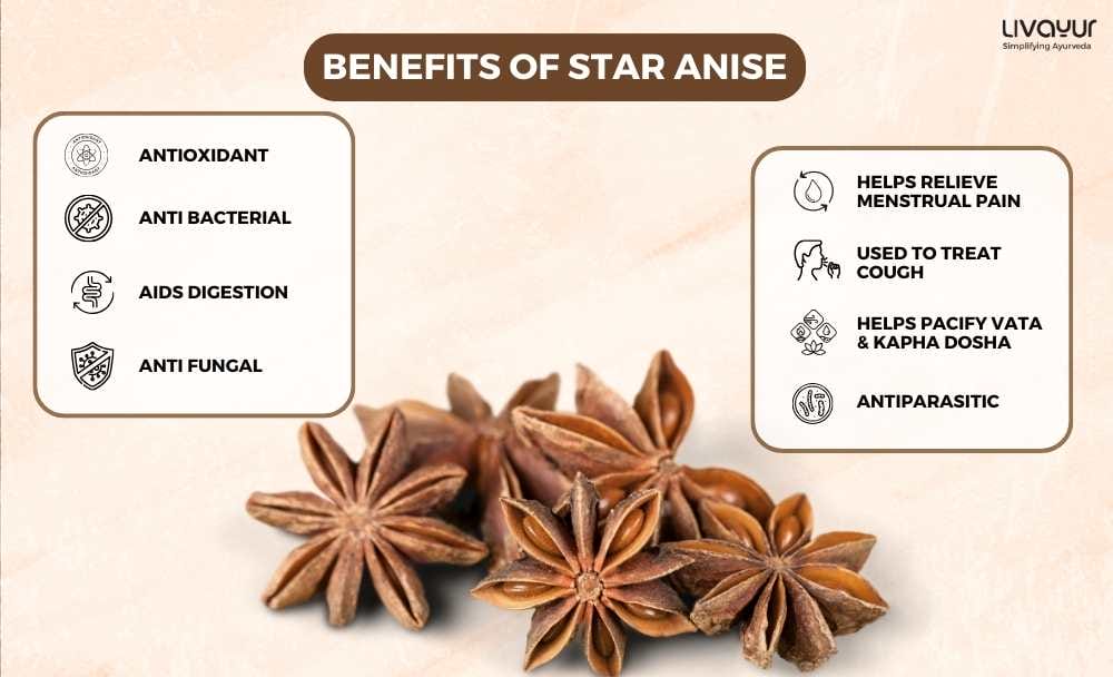 Anise in Ayurveda Uses Benefits and More