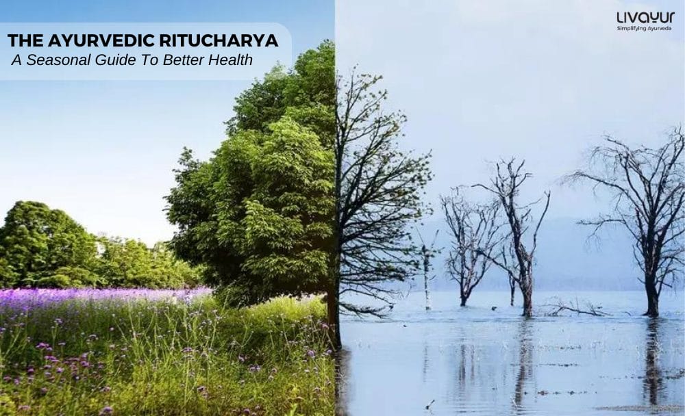The Ayurvedic Ritucharya A Seasonal Guide To Better Health