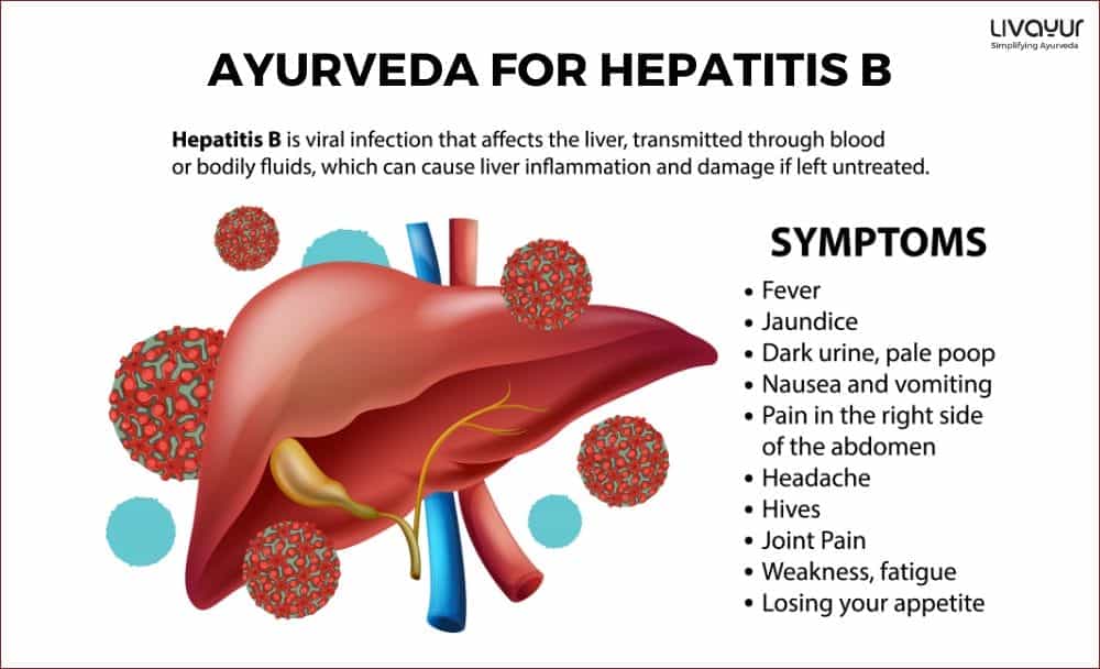Ayurveda Help Manage Hepatitis B Myth or Fact 1